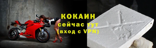 дживик Нея