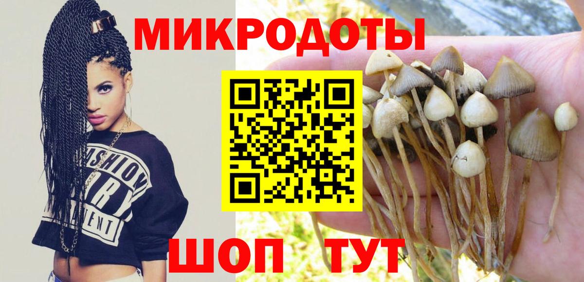 Галлюциногенные грибы Cubensis  Галлюциногенные грибы ЛСД  Вологда  Вход с VPN 