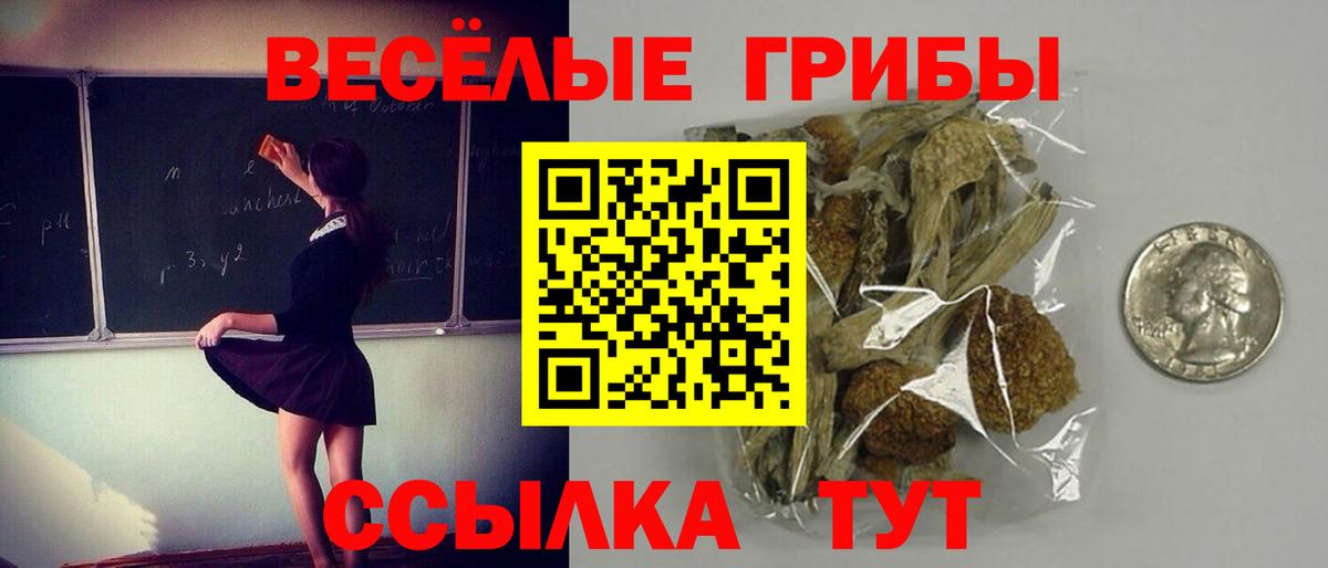 Псилоцибиновые грибы Magic Shrooms Вологда